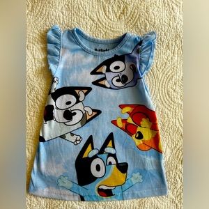 Bluey pj dress 2T